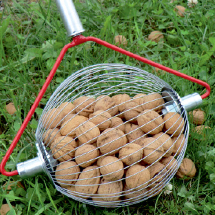 De Wiltfang Korf walnotenraper - 22 cm