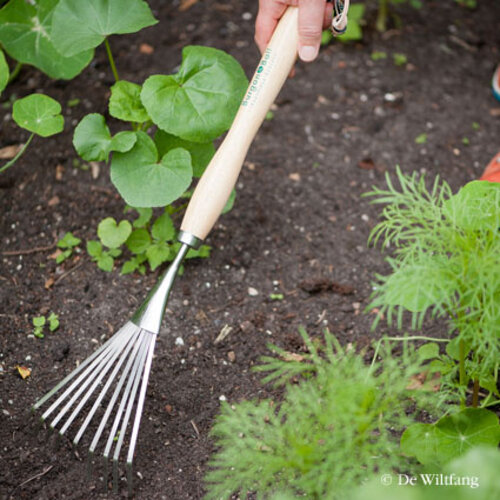 Burgon & Ball RHS Borderhark - Verlengd handvat - 9 tanden