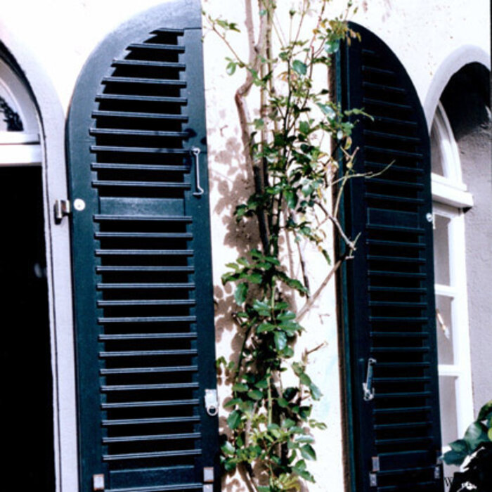 De Wiltfang Klimplantensysteem met 10 meter draad