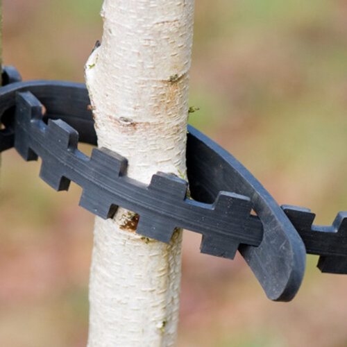 Meuwissen Agro Boomband Selfix - 60 cm