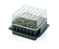 Meuwissen Agro Zaaibakje voor 49 plantjes - Compact