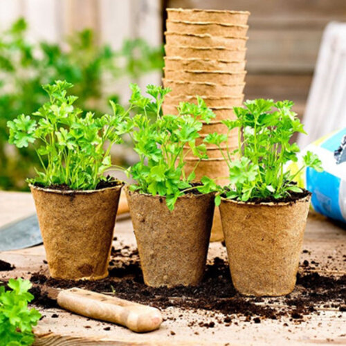 HGA Woodee Biologische Oppotjes - Set van 12 - 8 x 7 cm