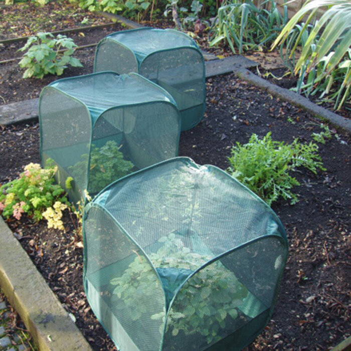 GardenSkill Pop up fruitkooi - 50 cm