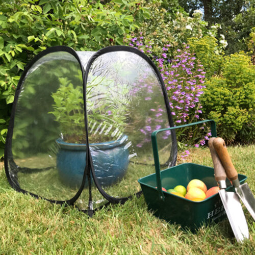 GardenSkill Mini Pop-up Cloche - 50 cm