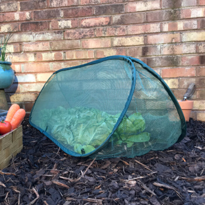 GardenSkill Plantentunnel - Pop up - 3 maten - Inclusief opbergtas