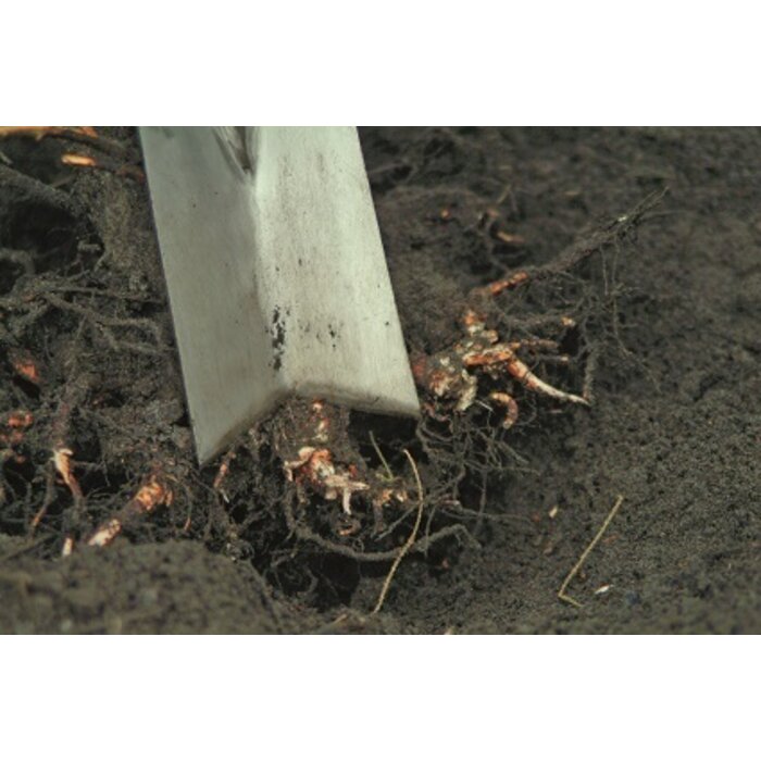 Sneeboer Verplantspade met steps - V-model