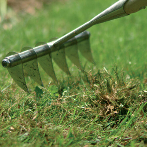 Sneeboer Verticuteerhark 6 tanden - 170 cm