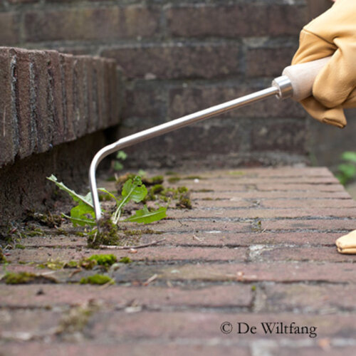 Sneeboer Voegenkrabber