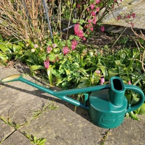 Haws Selly Soak gieter - Kunststof groen - 5 liter