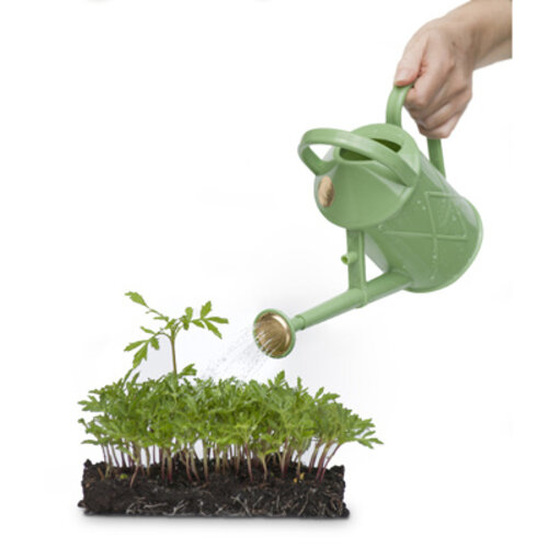 Haws Bartley Burbler Gieter - 1 liter - 5 kleuren - Gerecycled kunststof