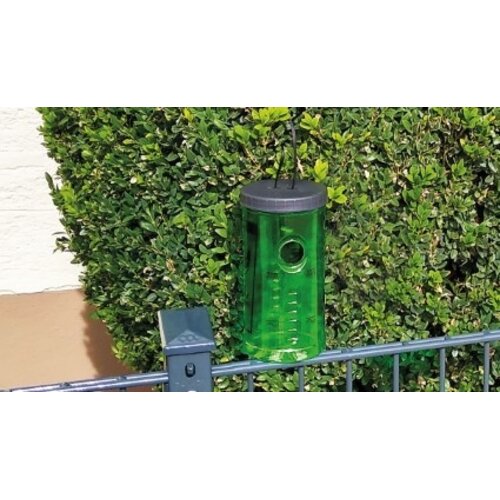 Swissinno Buxusmotval met feromonen - Niet giftig en milieuvriendelijk