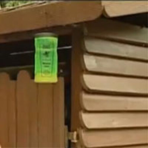 Swissinno Wespenval - Natuurlijke lokststof - Gemaakt in de EU