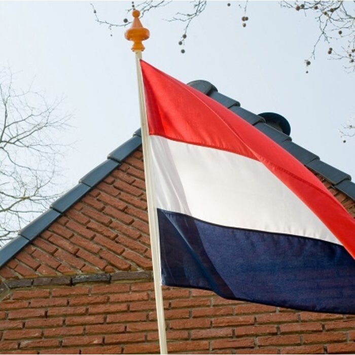 De Wiltfang Nederlandse vlag - 100 x 150 cm - Oud Hollandse kleuren