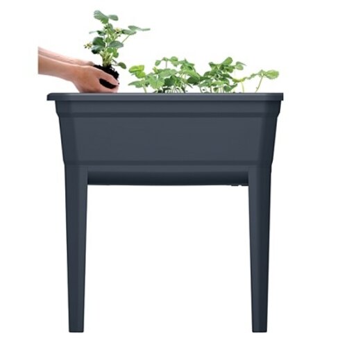 Prosperplast Kweektafel voor plantjes op stahoogte - Antraciet kunststof - 42 L - 75 x 77 cm