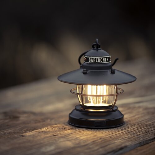 Barebones Tuinlamp Mini Edison - LED verlichting - Dimbaar