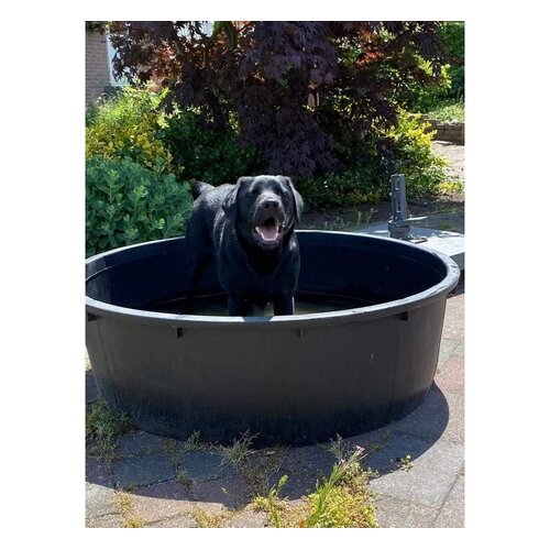 Meuwissen Agro Boomkuip 275 liter - 114 x 34,5 cm - Zwart polyetheen