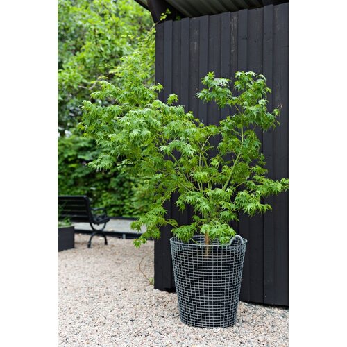 KORBO Sterke Draadmand Korbo - Gegalvaniseerd Staal - Voor Binnen en Buiten