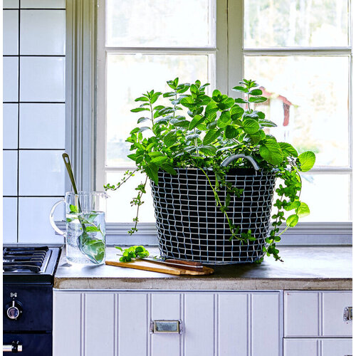 KORBO Sterke Draadmand Korbo - Gegalvaniseerd Staal - Voor Binnen en Buiten