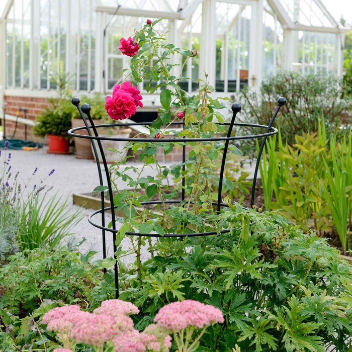 Harrod Plantensteun rond - Zwart - Diverse maten - 8 mm staal