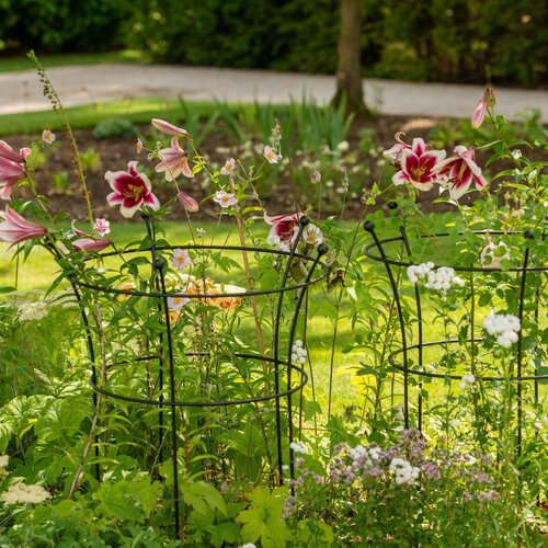 Harrod Plantensteun rond - Zwart - Diverse maten - 8 mm staal