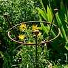 Harrod Plantensteun rond - Roest - Diverse maten - 8 mm staal - 5 jaar garantie