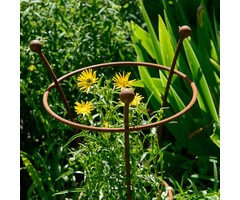 Harrod Plantensteun rond - Roest - Diverse maten - 8 mm staal - 5 jaar garantie