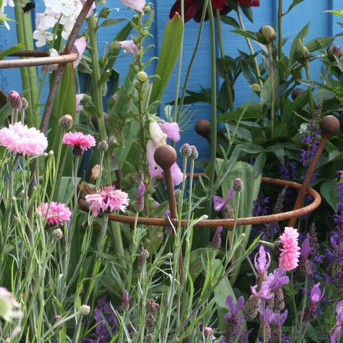 Harrod Plantensteun rond - Roest - Diverse maten - 8 mm staal - 5 jaar garantie