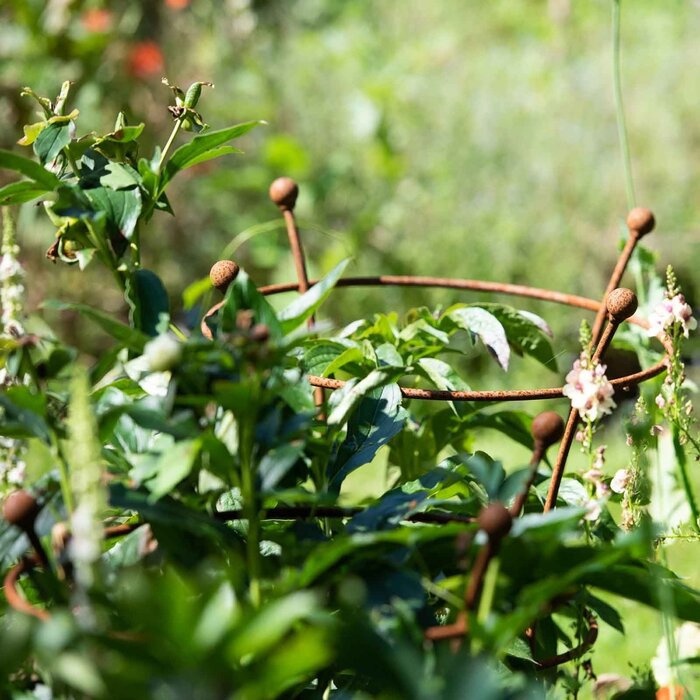 Harrod Plantensteun rond - Roest - Diverse maten - 8 mm staal - 5 jaar garantie