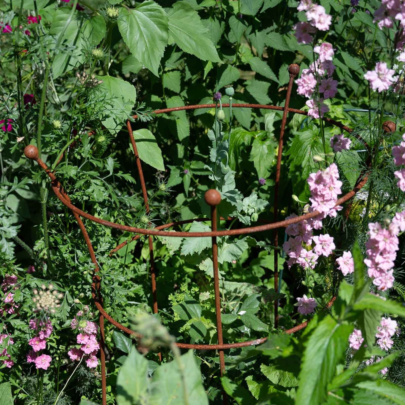 Harrod Plantensteun rond - Roest - Diverse maten - 8 mm staal - 5 jaar garantie