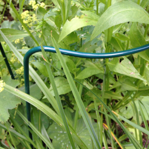 Bellissa Plantensteunen halfrond - Diverse maten - Gegalvaniseerd staal - 5 mm dik