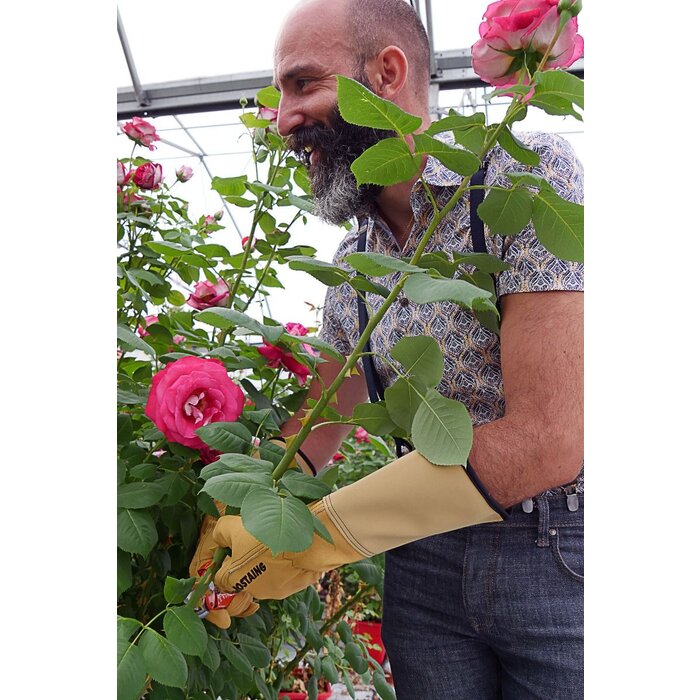 Rostaing Rozenhandschoenen - Lang Manchet - Diverse maten -  EN388 getest