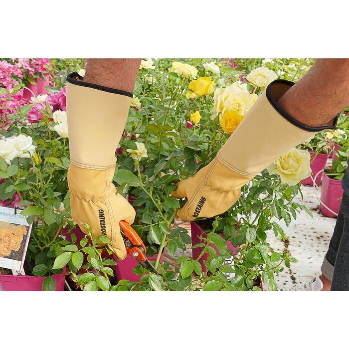 Rostaing Rozenhandschoenen - Lang Manchet - Diverse maten -  EN388 getest