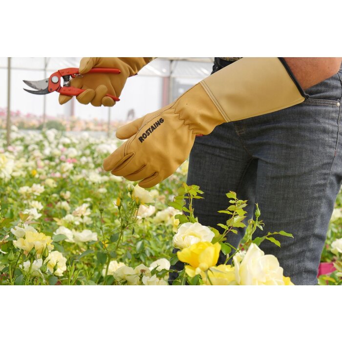 Rostaing Rozenhandschoenen - Lang Manchet - Diverse maten -  EN388 getest