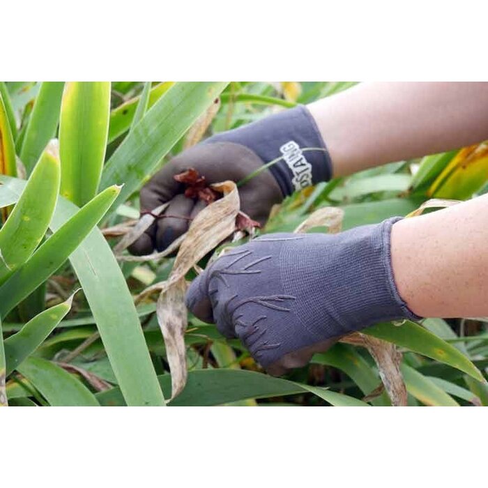 Rostaing Tuinhandschoenen - Allround - 4 maten - Slijtvast en soepel