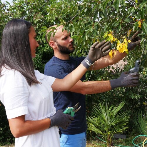 Rostaing Tuinhandschoenen - Allround - 4 maten - Slijtvast en soepel