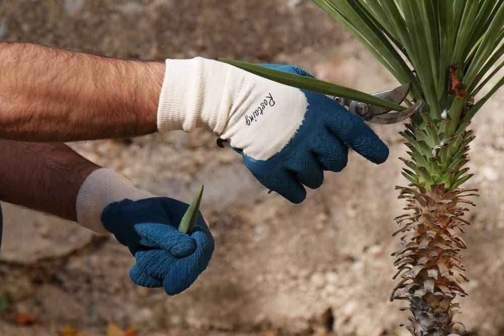 Rostaing Latex rozenhandschoen - Blauw - Maat 6 t/m 10 - Waterdicht