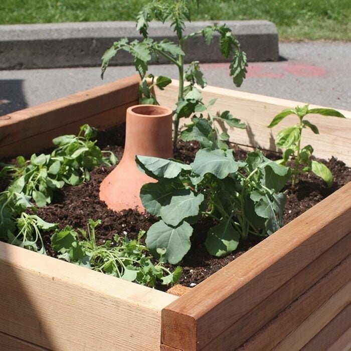 Biogreen Plantendruppelaar terracotta - Ronde Olla Pot - Druppelaars voor planten