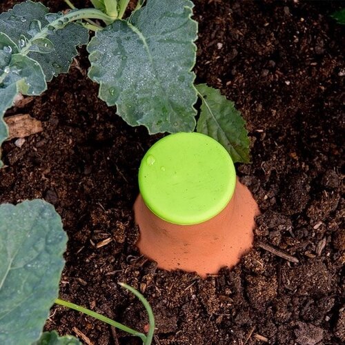 Biogreen Plantendruppelaar terracotta - Ronde Olla Pot - Druppelaars voor planten