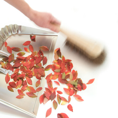 De Wiltfang Borstel voor veegblik