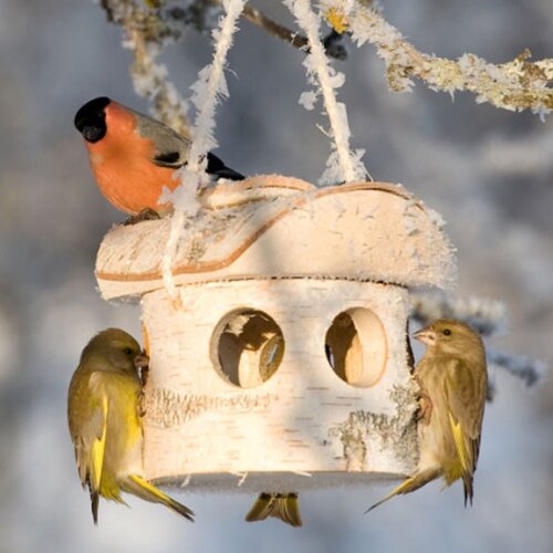 Meuwissen Agro Vogelvoederhuisje Berk - 6 invliegopeningen - Handgemaakt in Letland