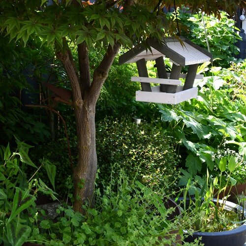 Patkar Vogelvoederhuisje Zurich hangend - 2 kleuren - Grenen