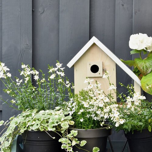 Patkar Vogelhuisje Riga - Vurenhout - 32 mm opening