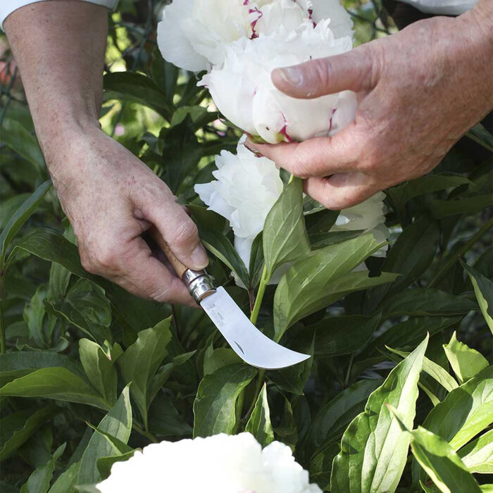 Opinel Tuinmes - Gebogen - 19 cm - Nr. 8 - Roestvrij