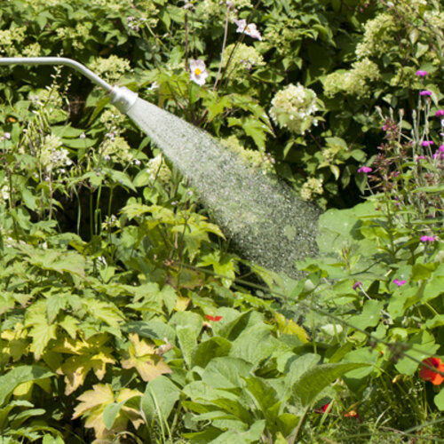 De Wiltfang Reserve Broes 5 cm - Vlak - Voor sproeilansen
