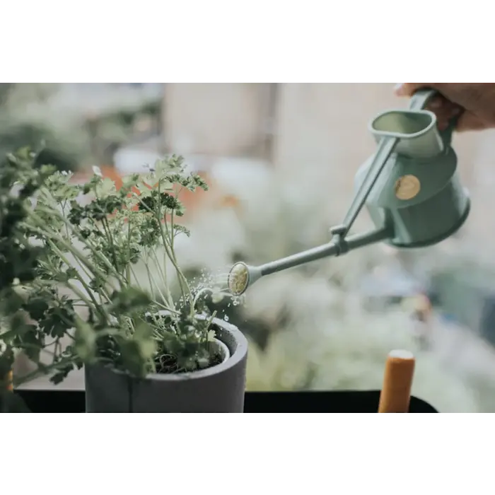 Haws Langley gieter - Kunststof 0,7 liter - 5 kleuren