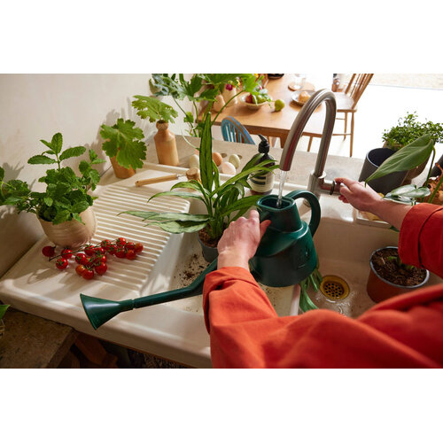 Haws Sutton Splash kasgieter - Kunststof groen - 2,25 liter