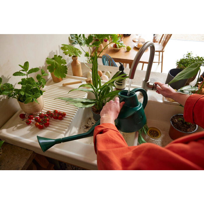 Haws Sutton Splash kasgieter - Kunststof groen - 2,25 liter