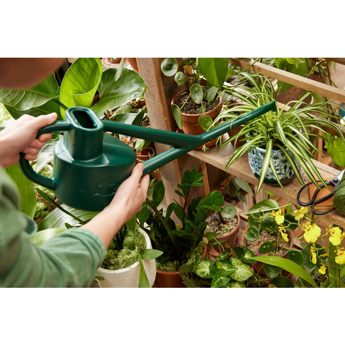 Haws Sutton Splash kasgieter - Kunststof groen - 2,25 liter