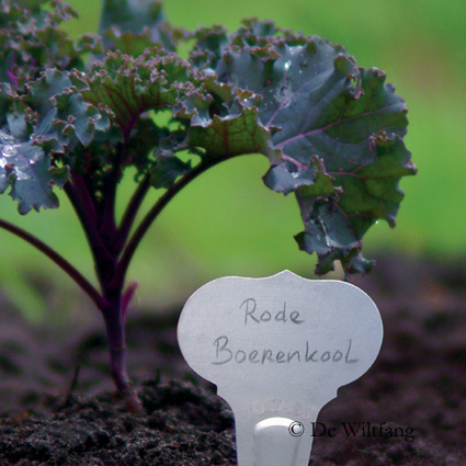 Steeketiket victorian