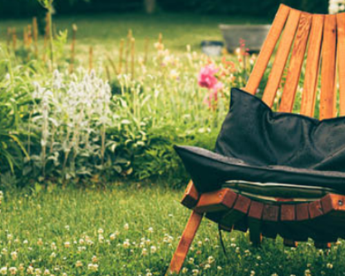 Gazon onderhouden in het voorjaar
